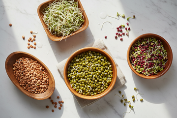 The Best Seeds for Sprouting at Home: A Beginner's Guide