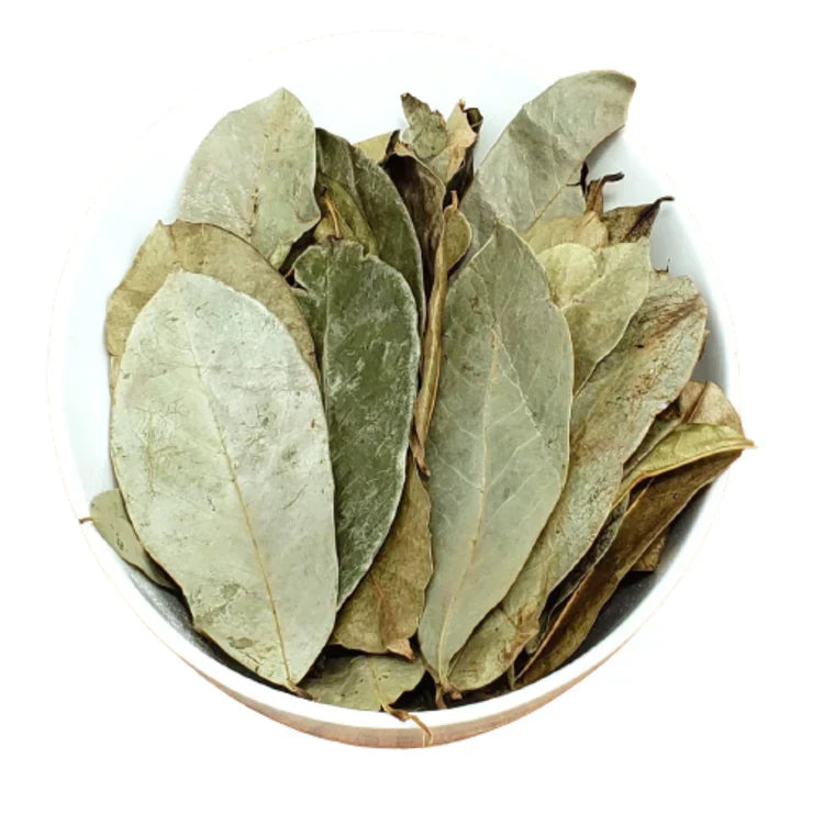 Soursop Leaves Dried-0