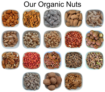 Pine Nuts (Chilgoza) – Natural Organic Premium-quality + Free sample!