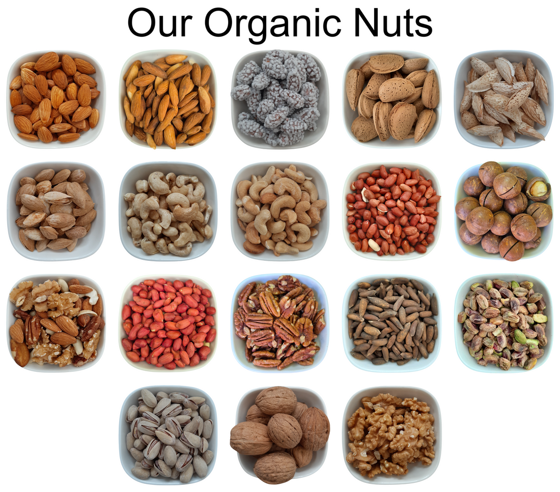 Jujube (Red Dates) – Wild & Farmed Options