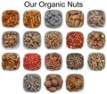 Dried Kiwi – Natural Organic Premium-quality + Free sample!-2