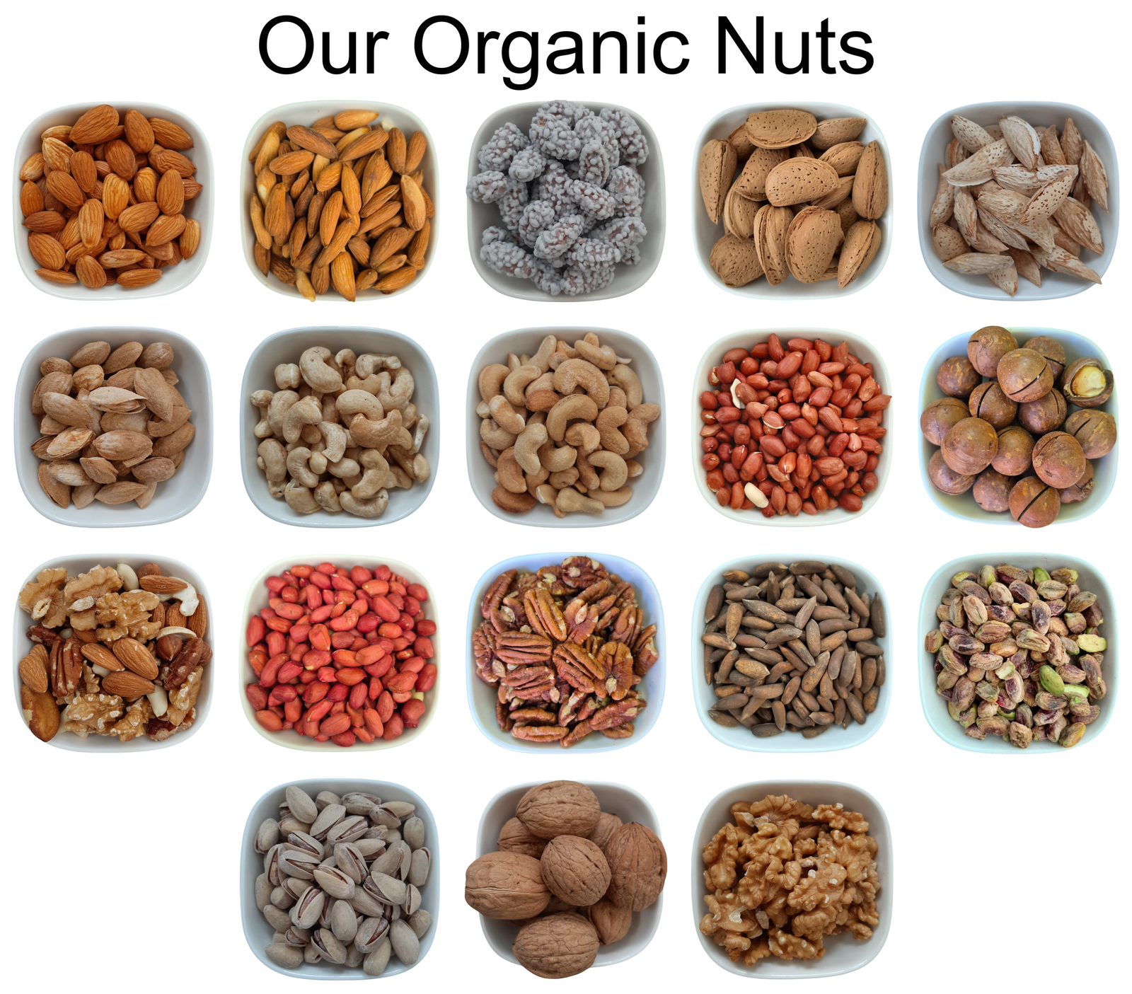 Dried Banana Chips – Natural Organic Premium-quality + Free sample!-2