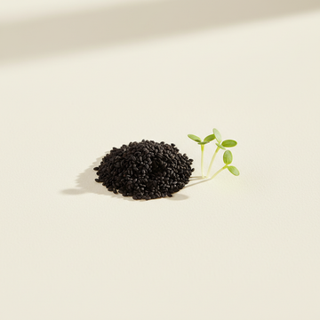 Basil Microgreens Seeds
