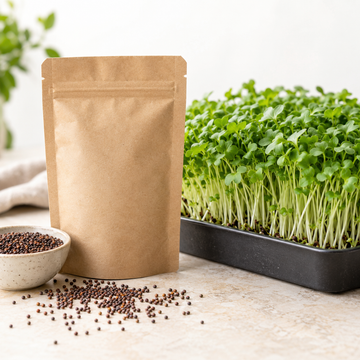 Broccoli microgreen seeds with fresh broccoli microgreens growing in a tray